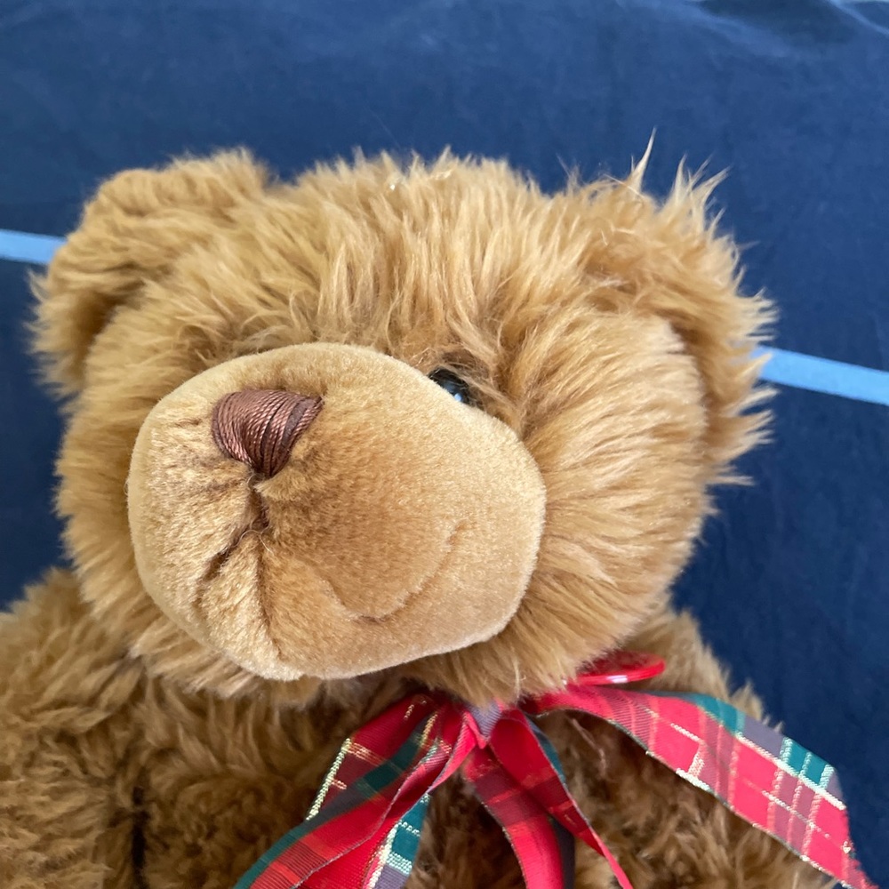 Build A Bear Workshop brown bear